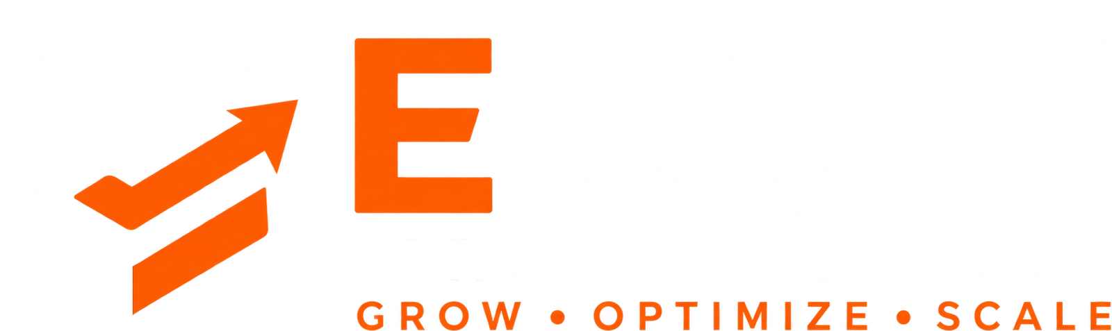 Ecom Services Provider